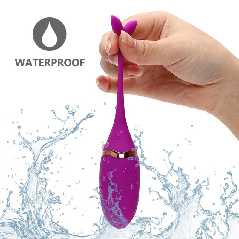 Waterproof Kegel Egg Vibrator - Image 6