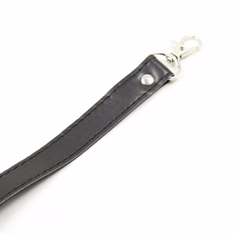 Exquisite Leather Collar with Leash - Image 5